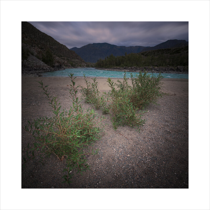 * - Александр Иванов