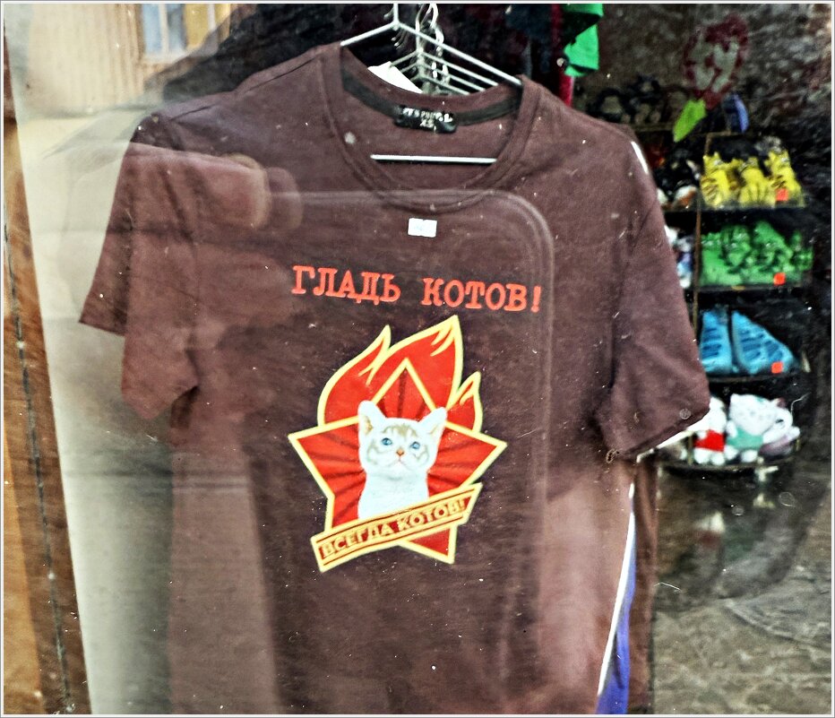 Сквозь стекло...:) - Валерия Комова