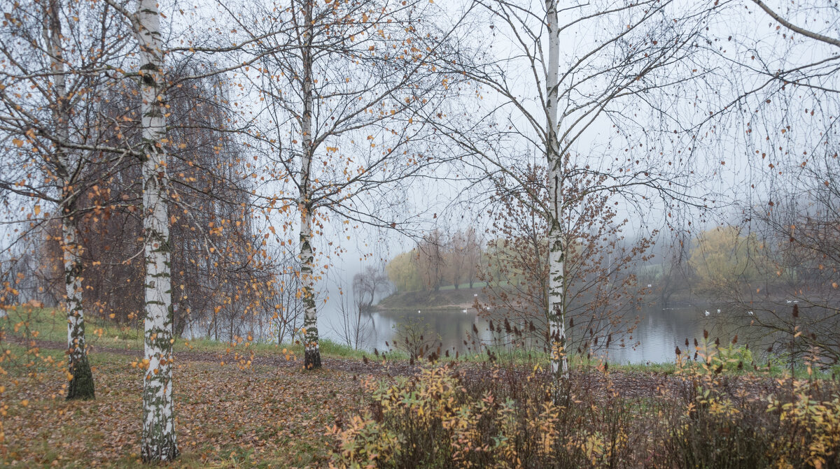 **** - Владимир Безбородов