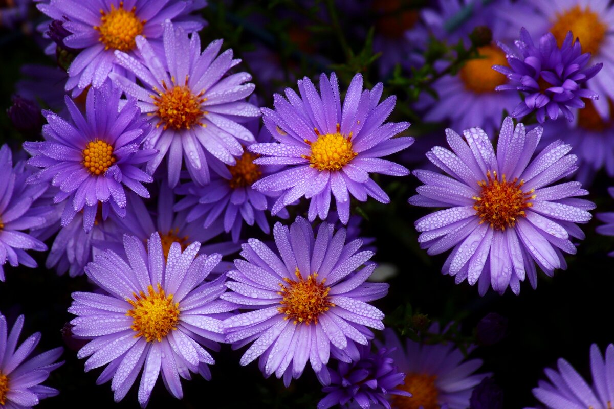 Доброе утро - Юрий. Шмаков