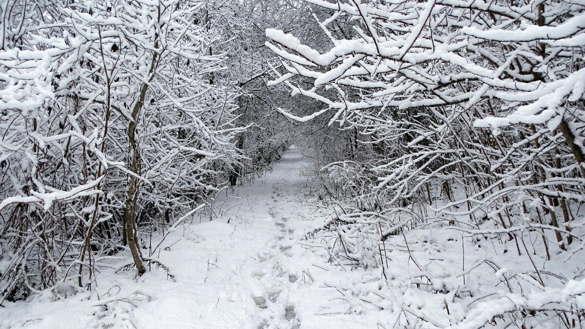 Предзимье - Милешкин Владимир Алексеевич 