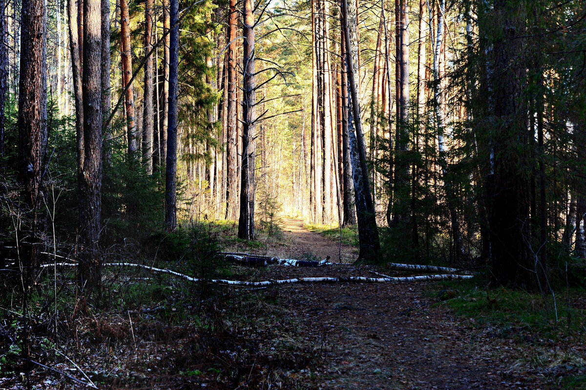 *** - Александр 