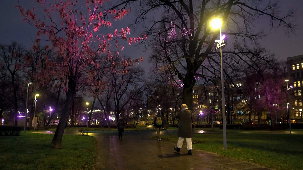 Вечерний Город - юрий поляков