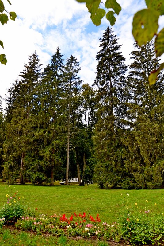 МИХАЙЛОВСКОЕ. - Виктор Осипчук