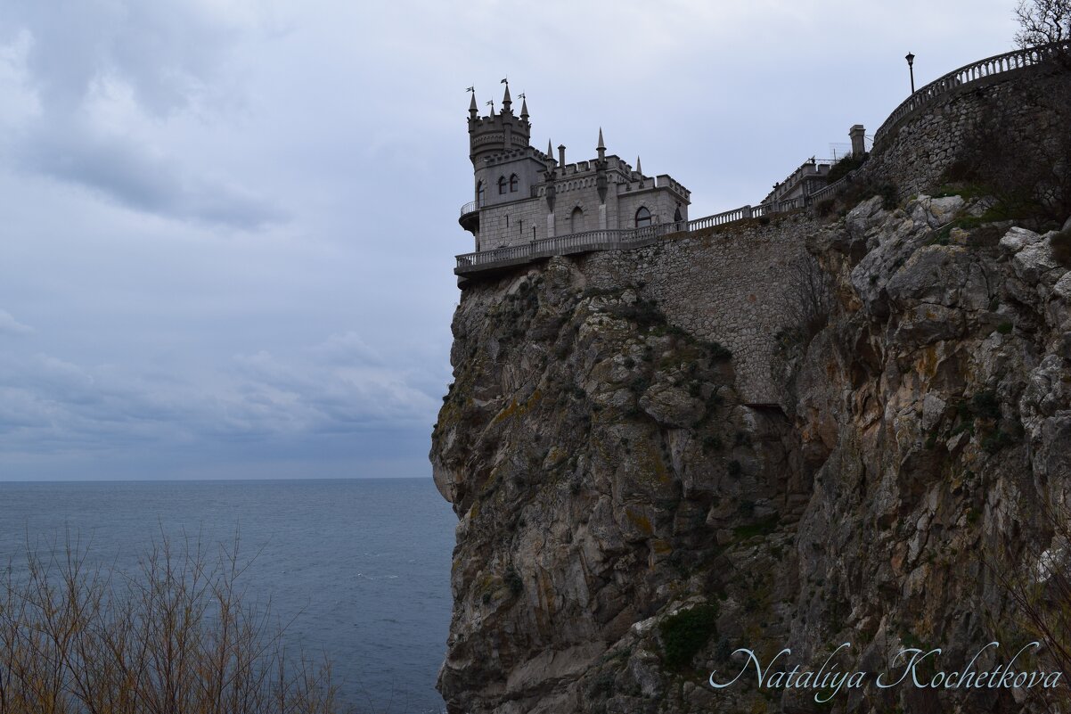 Природа Крыма - Amazing Cosmea