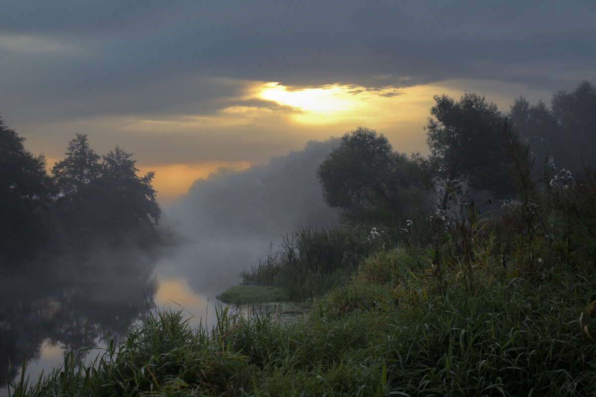 Утро. - Александр. AVG100 ---