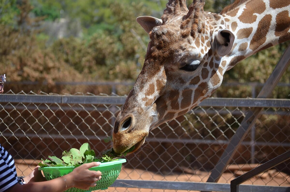 Угощайся... - Евгений Васильев