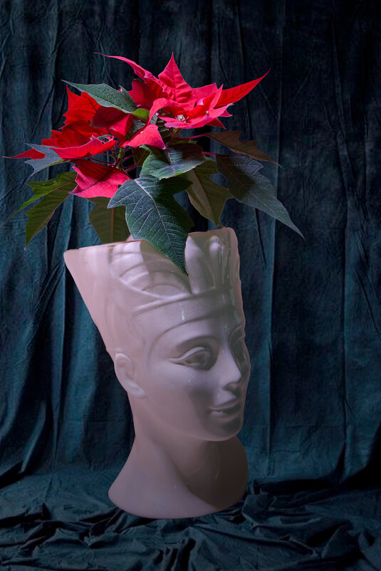 Женский цветок - Андрей Город