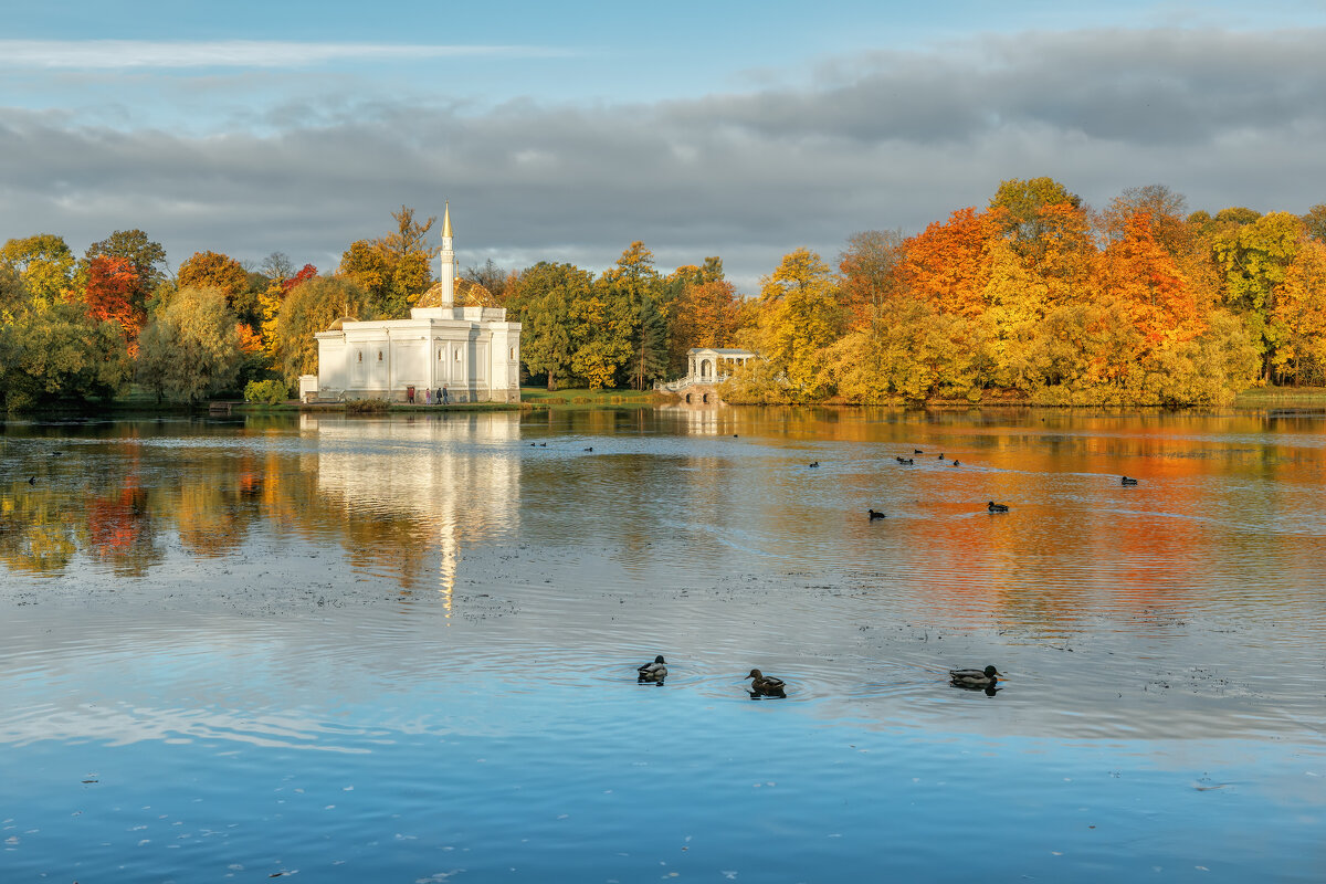 Про Питер - Владимир Колесников