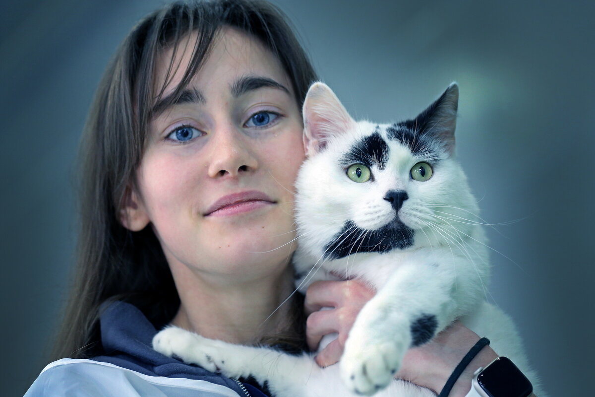 Кошки в Крокусе 29 ноября - Михаил Бибичков