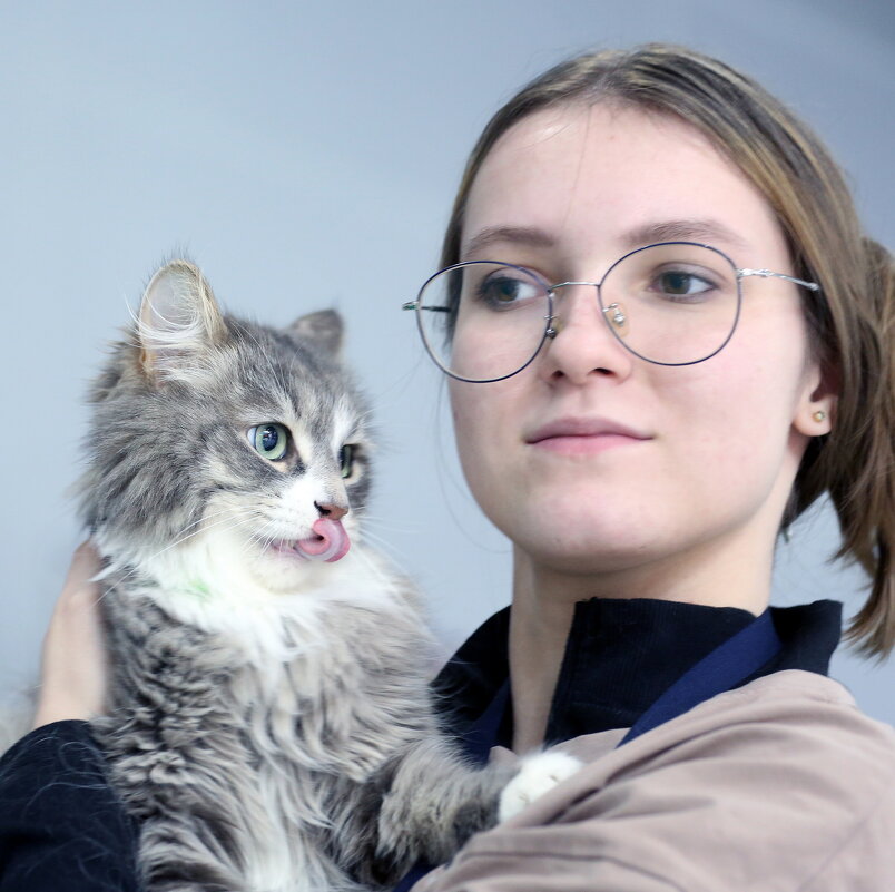 Кошки в Крокусе 29 ноября - Михаил Бибичков