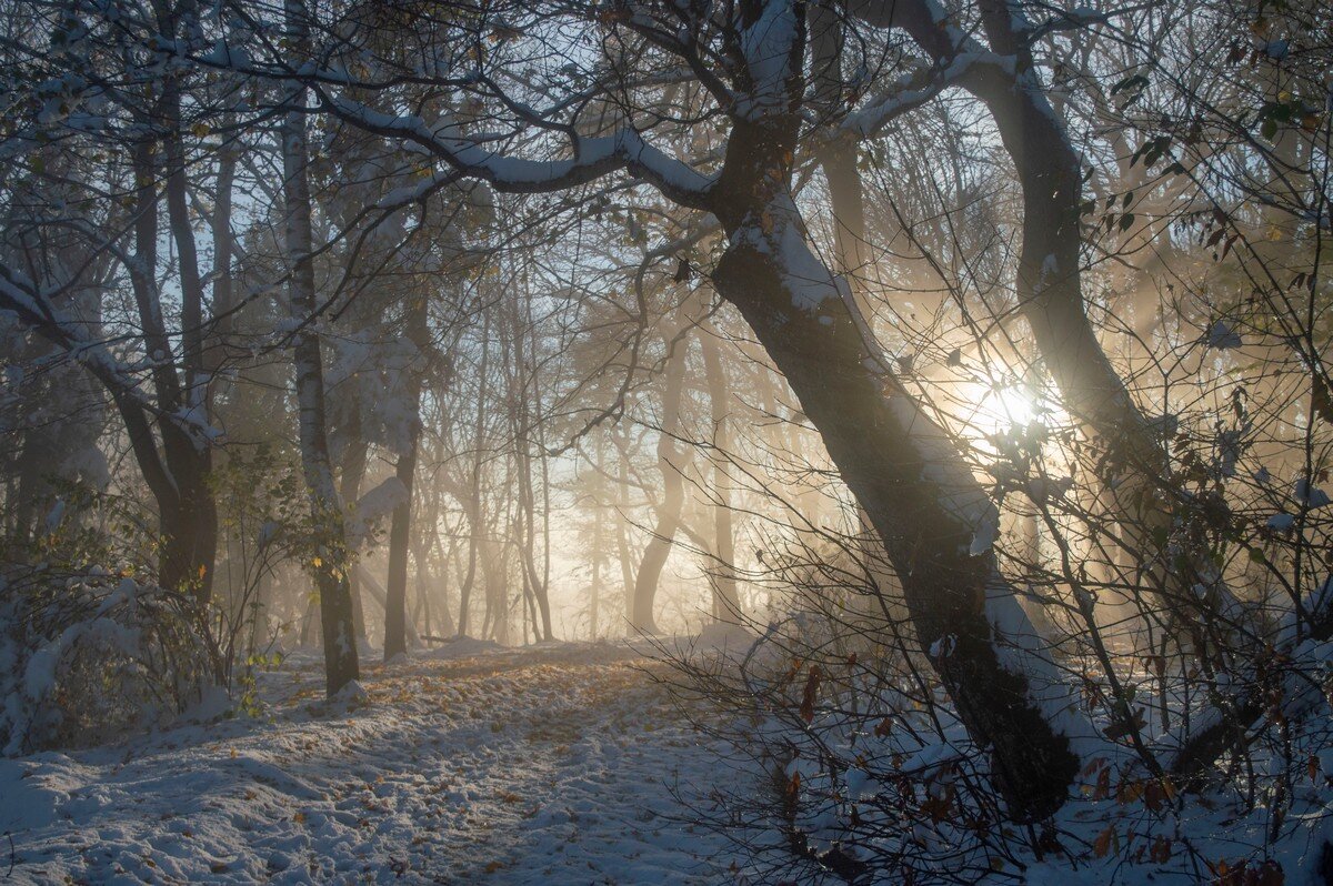 Вечер в горах........... - Юрий Цыплятников