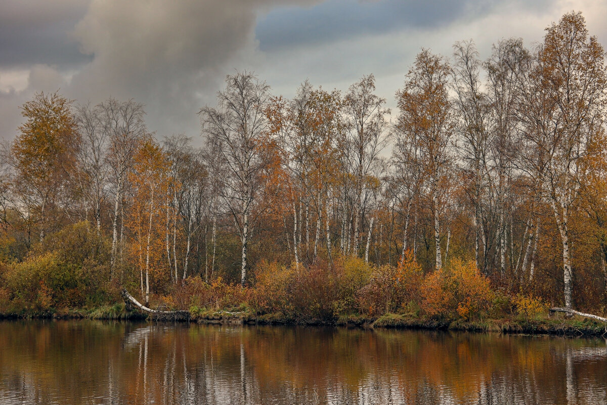 Река Глухарка - skijumper Иванов Река Глухарка - skijumper Иванов