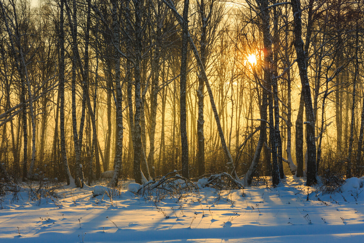 Зимний, морозный закат - Сергей Винтовкин Зимний, морозный закат - Сергей Винтовкин
