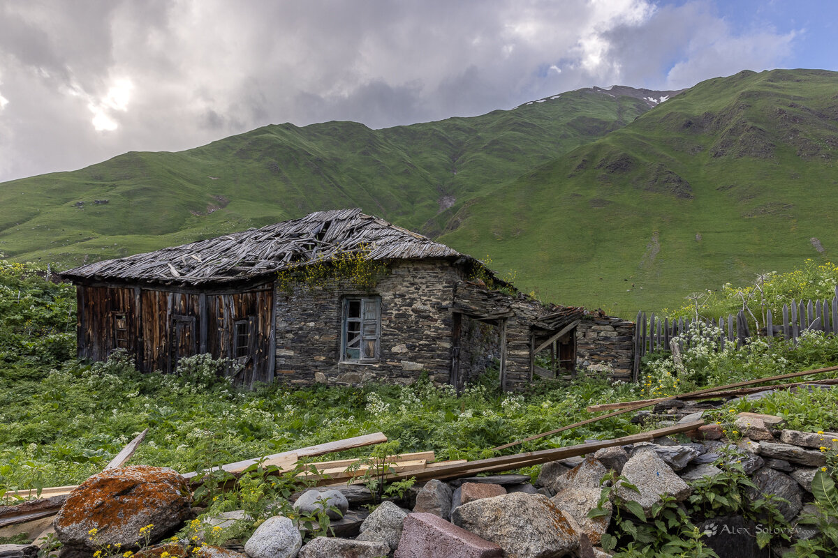 **** - Алексей Соловьев