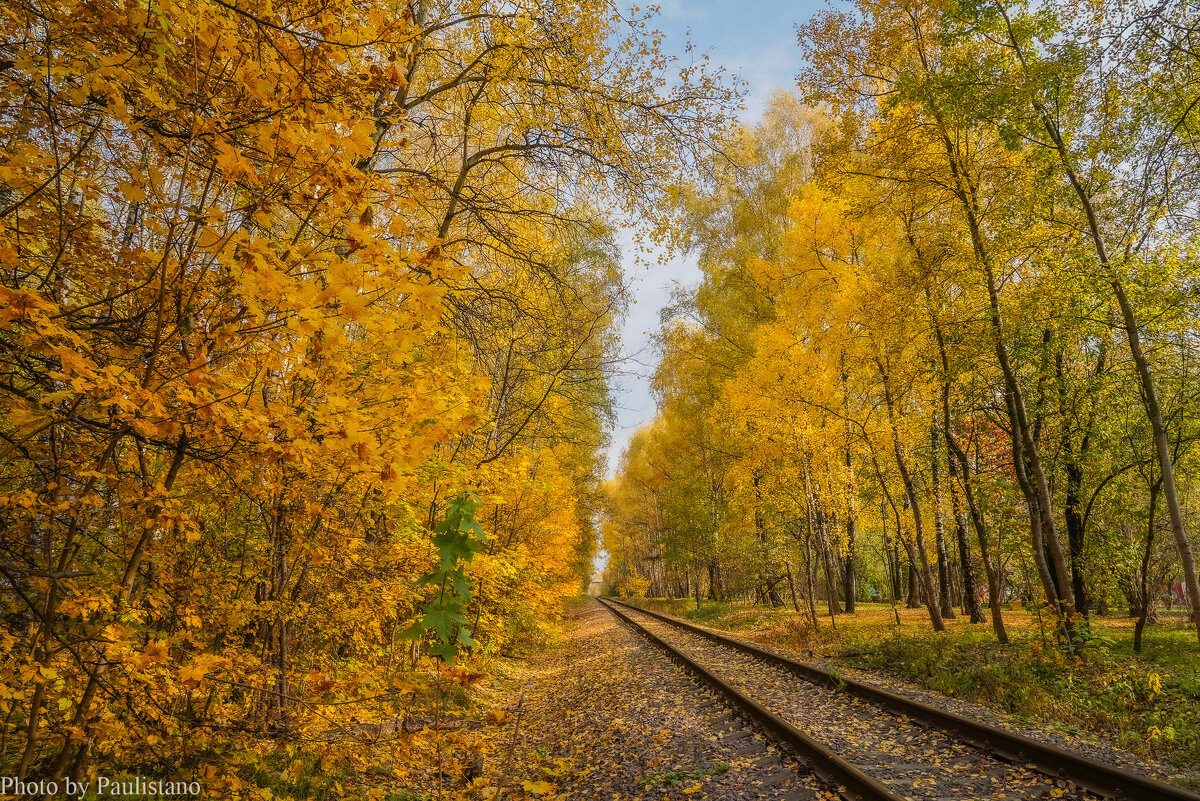 Дорога в осень... - Владимир Жданов