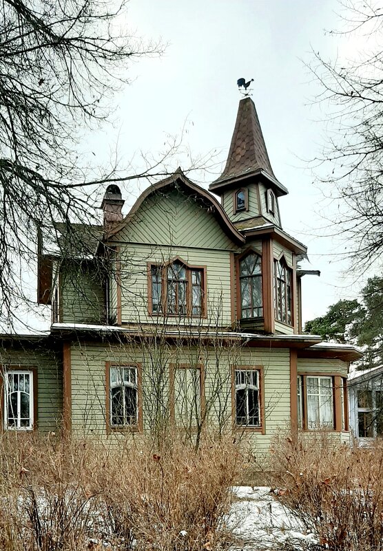 Старые дачи - Наталья Герасимова