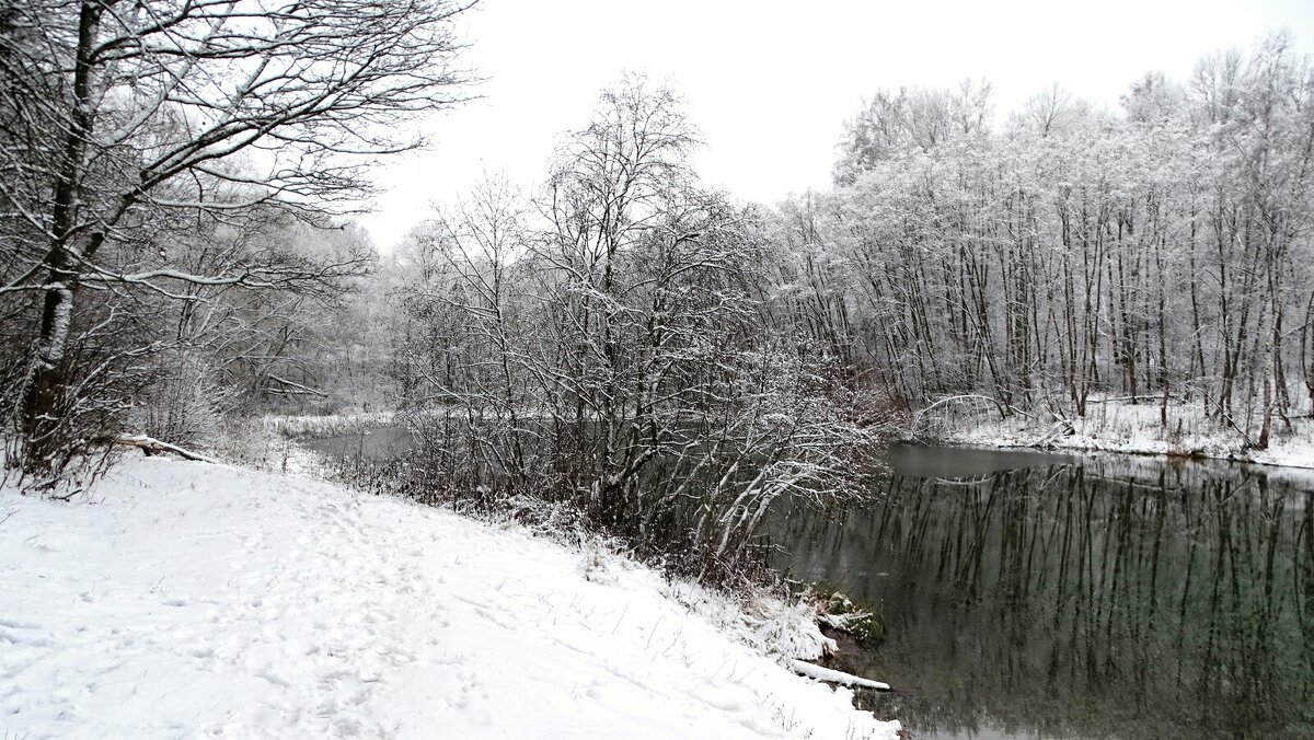 Осень в ноябре. - Милешкин Владимир Алексеевич 