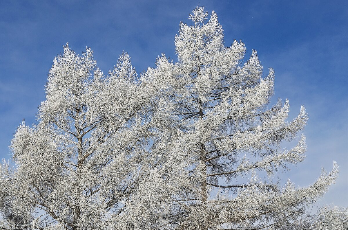 *** - Виктор Иванович Чернюк