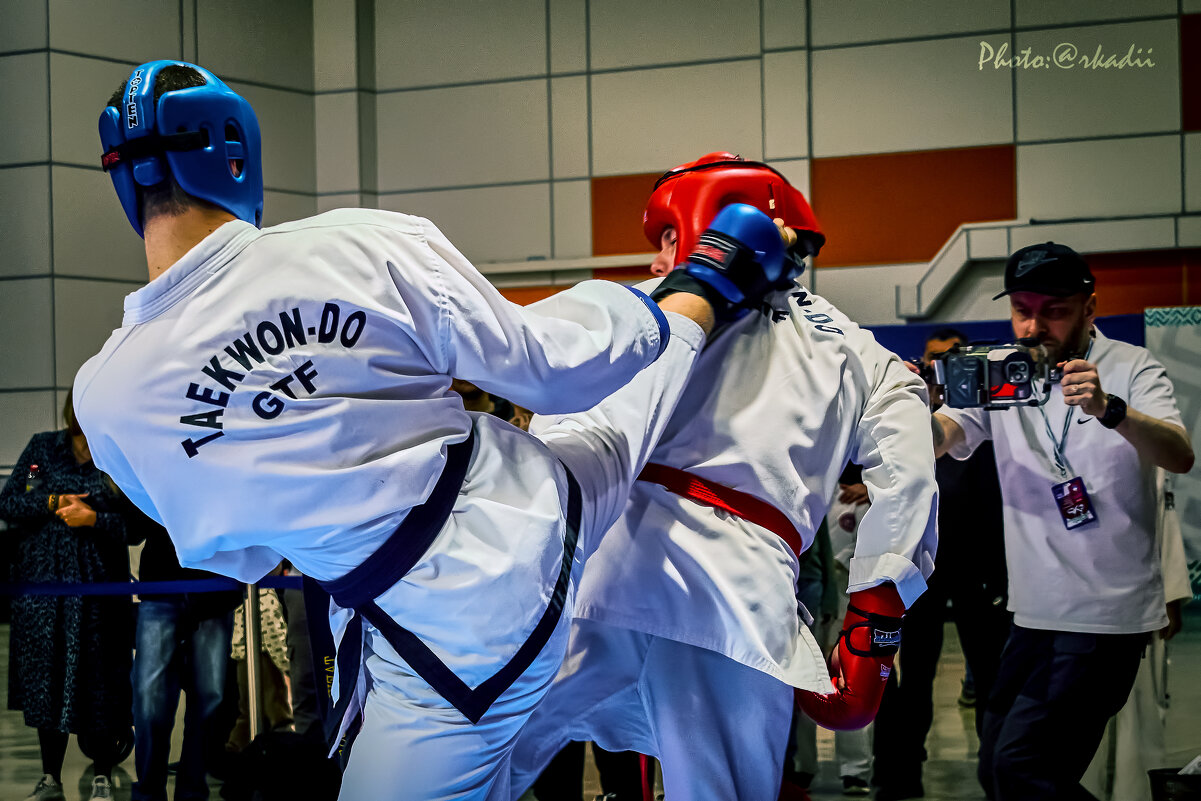 ТХЭКВОНДО - arkadii 