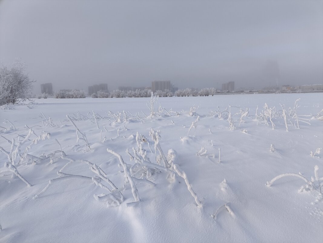 Мороз - Anna Ivanova