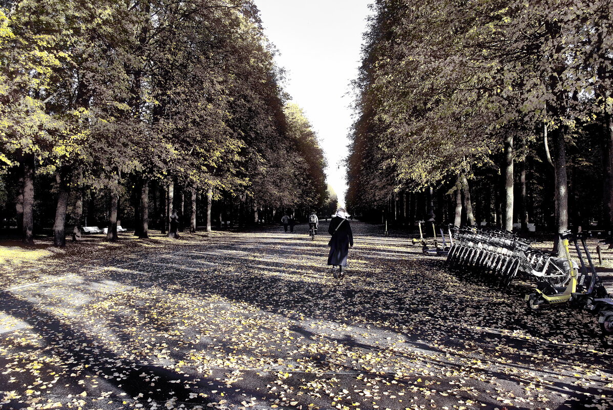 Элегия - AleksSPb Лесниченко