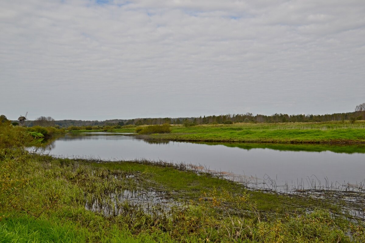 МИХАЙЛОВСКОЕ. - Виктор Осипчук
