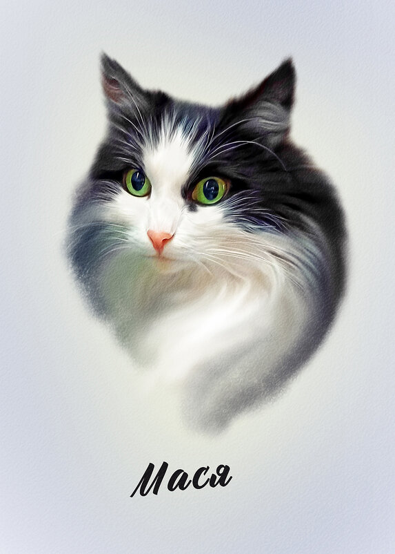 Мася - Светлана Кузнецова Мася - Светлана Кузнецова