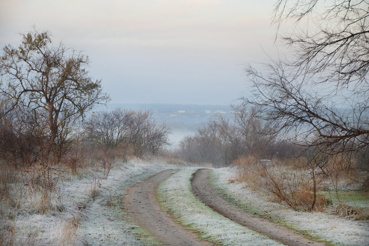 Первый заморозок... - Надежда Куркина 