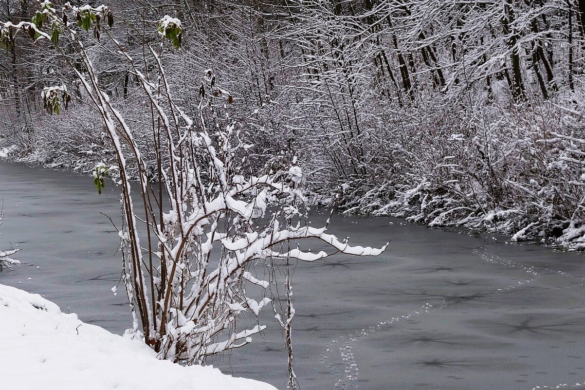 Первый снег - Рита Симонова