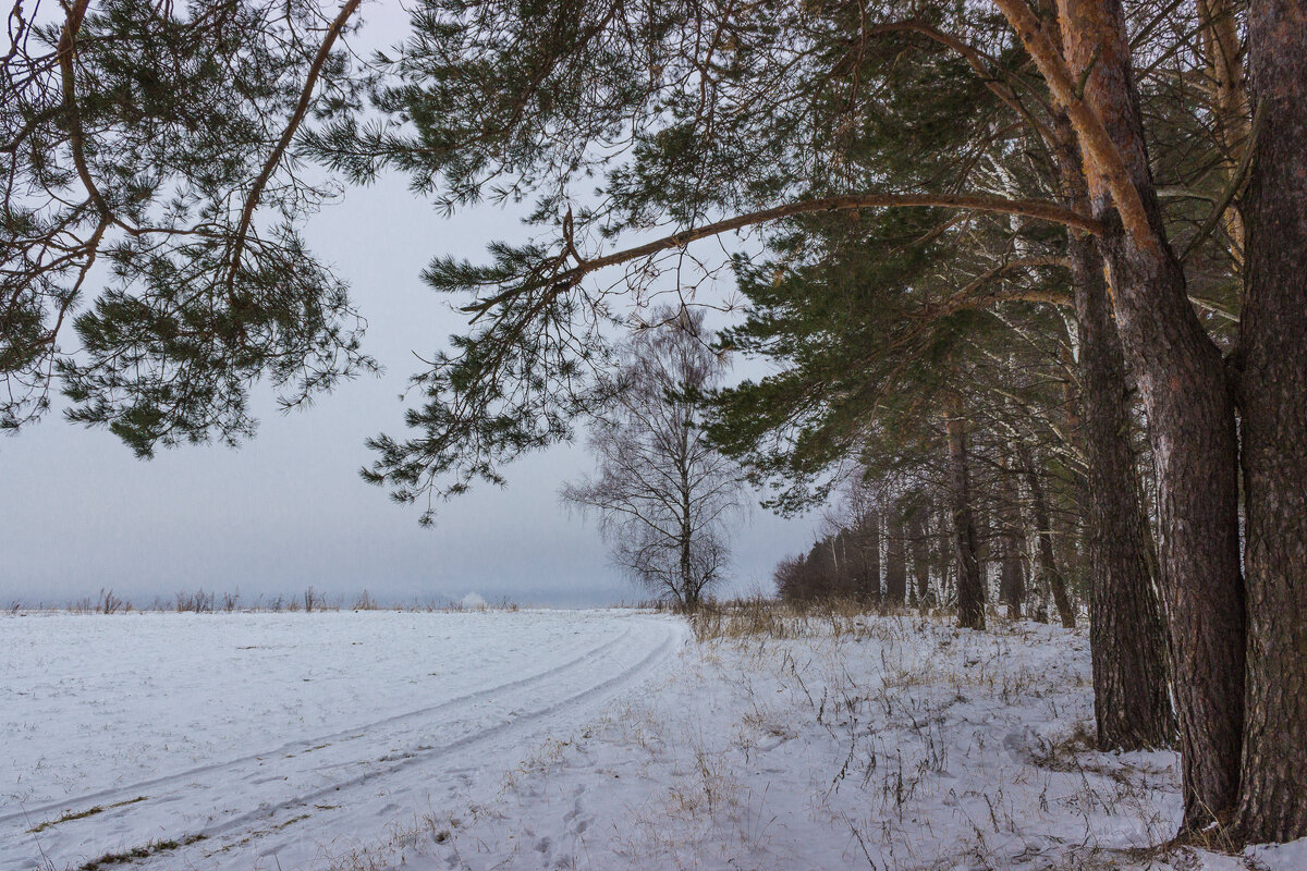 *** - Андрей Андрианов