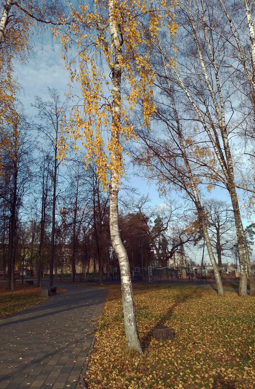 *** - Валентина Береснева