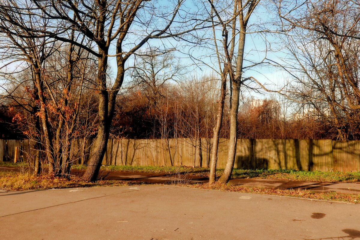 Готова осень к расставанью. - Татьяна Помогалова