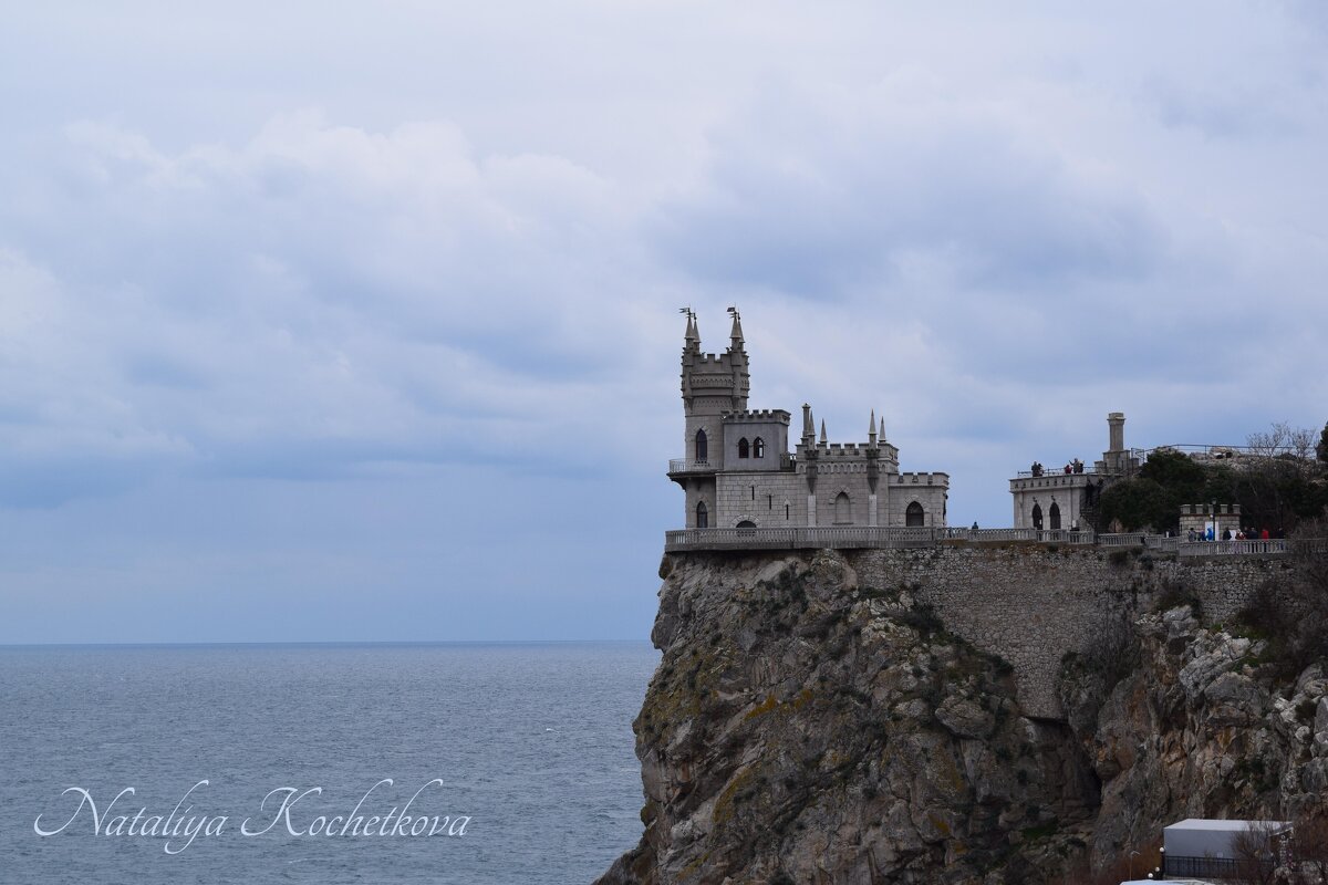 Природа Крыма - Amazing Cosmea