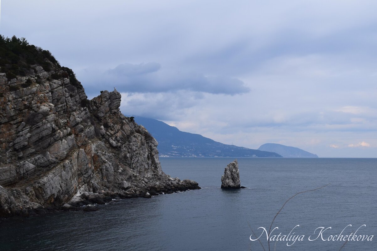 Природа Крыма - Amazing Cosmea