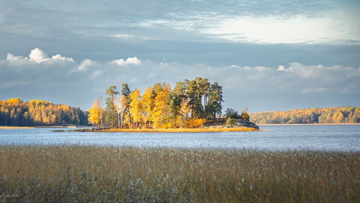 В парке Монрепо - Nyusha .