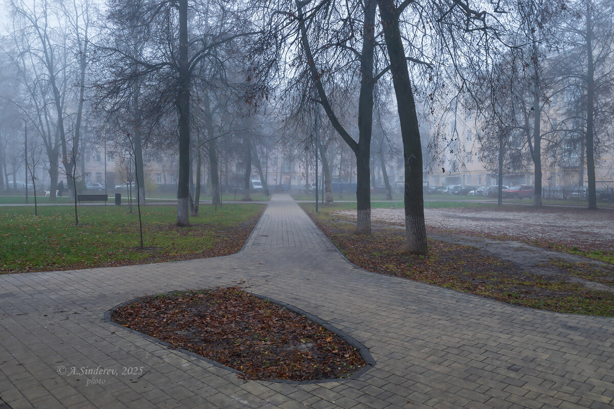 В туманном ноябре - Александр Синдерёв