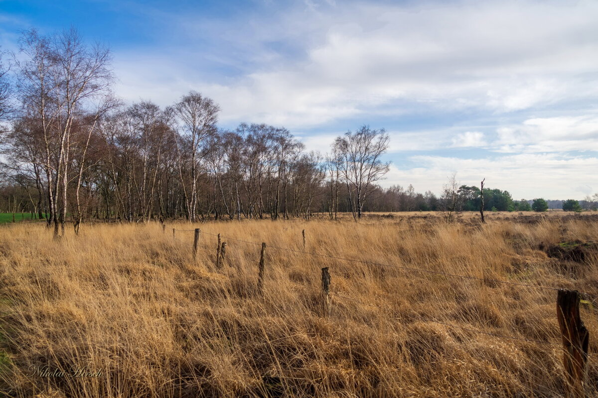 Там заповедник... - Николай Гирш Там заповедник... - Николай Гирш