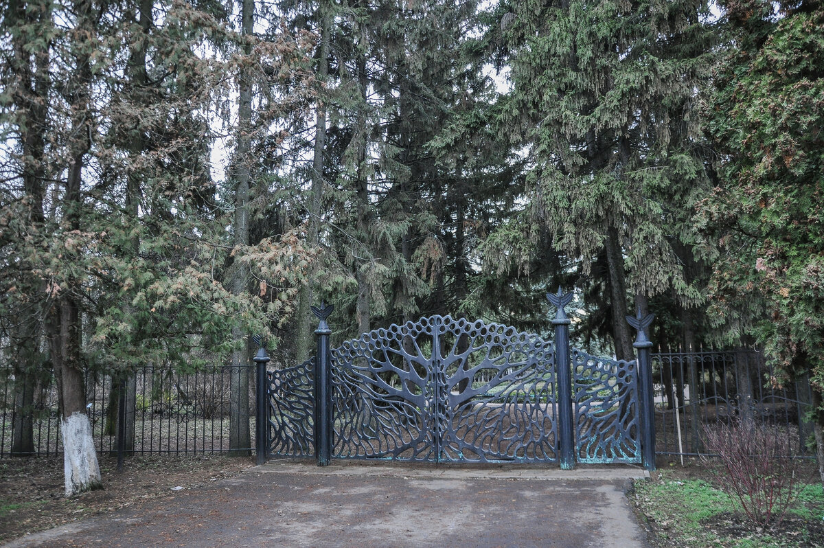 Вход в Дендропарк лесотехнического университета - Татьяна Машошина