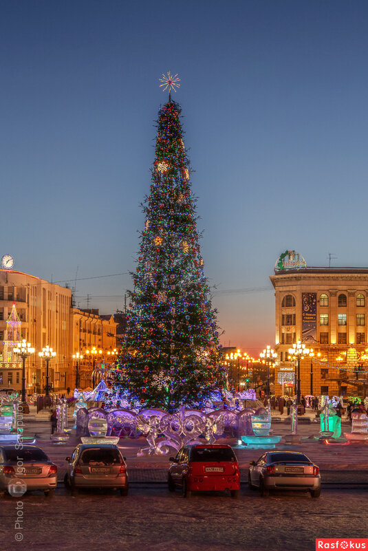 Главная новогодняя ёлка Хабаровского края - Игорь Сарапулов Главная новогодняя ёлка Хабаровского края - Игорь Сарапулов