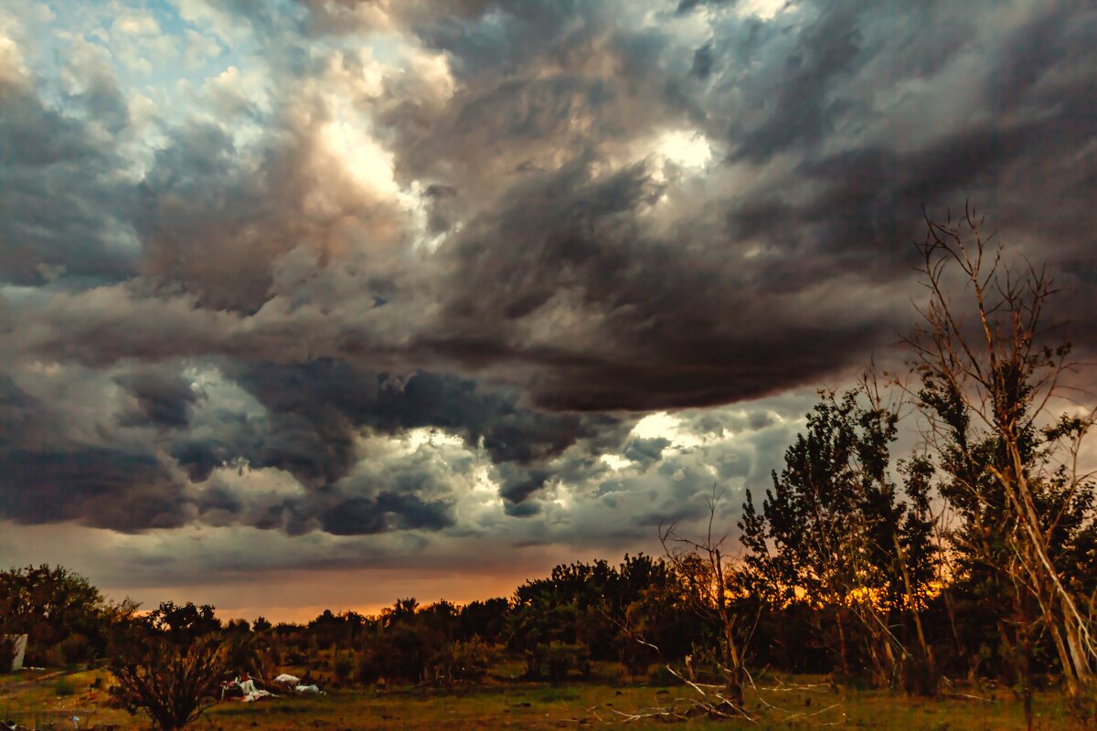 СТЕПНОЕ НЕБО - HART BAD