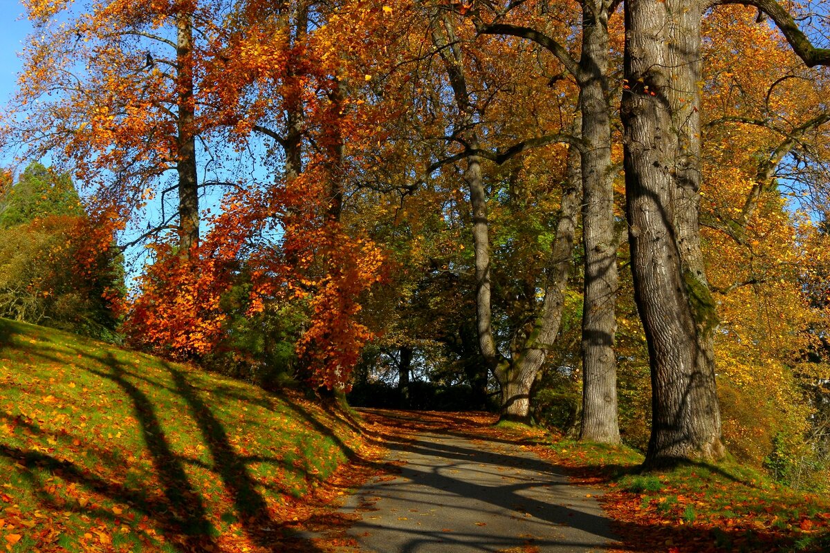 Осенний день – микстура для души - Юрий. Шмаков