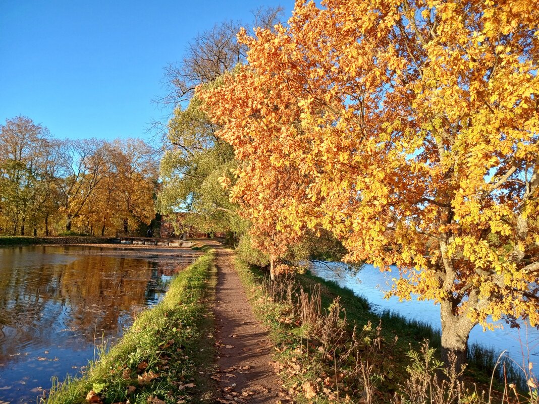 Тропинка в осень. - Лия ☼
