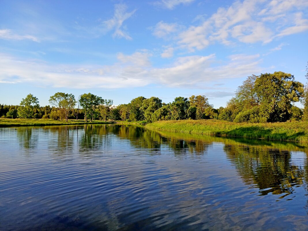 Август предвестник осени... - Лия ☼ Август предвестник осени... - Лия ☼