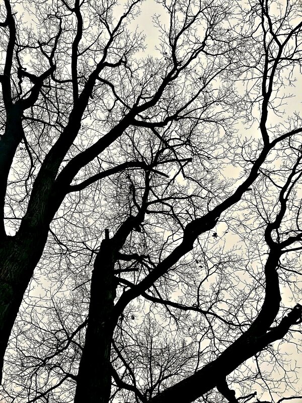 Ноябрь... - Михаил Столяров