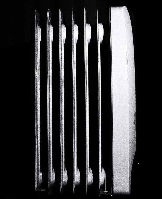 * - Василий Палий