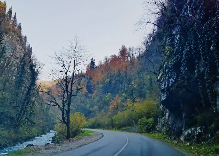 АБХАЗИЯ - Tata Wolf