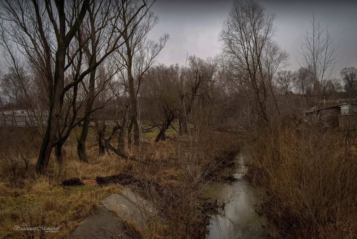 "Накануне календарной зимы"© - Владимир Макаров