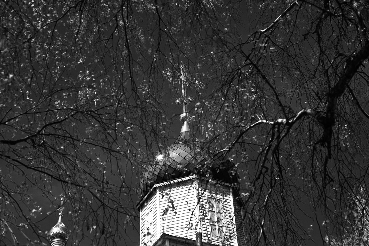 Фотография - Денис Безногов