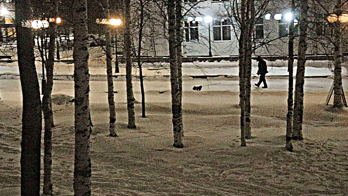 С утра по бульвару с  собачкой! - Владимир 